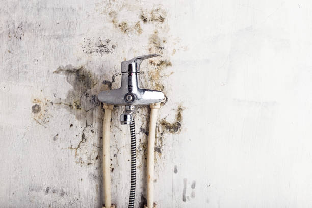 Trusted Pleasant Hill, IA Mold Removal Experts