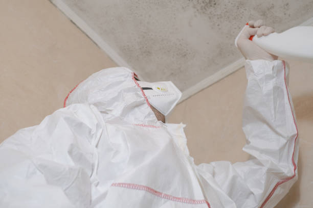 Best Attic Mold Removal  in Pleasant Hill, IA